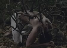 Metamorphosis (Titian 2012)