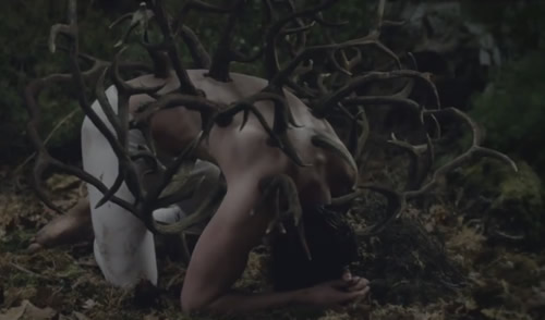 Metamorphosis (Titian 2012)