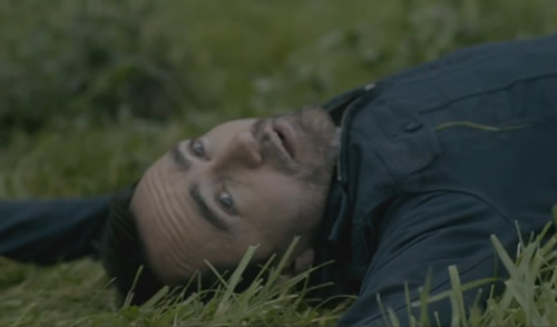 Video: The Shins - It's Only Life